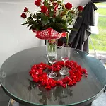 Glamping Pasieka Balia & Jacuzzi Glamp Bukowina Tatrzanska - Namioty W Tatrach Tente de luxe Groń